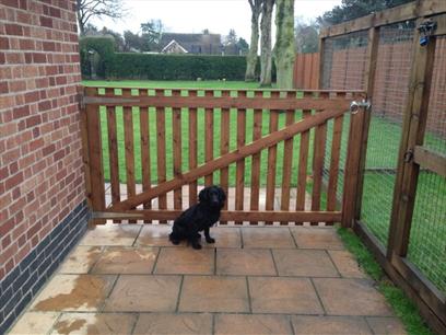 8ft wide x 4ft high Morticed and Tenoned Gate - Rear